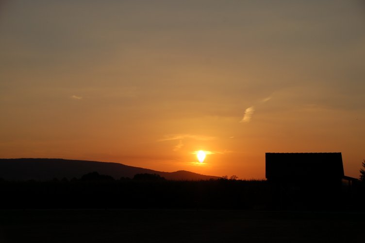 Lachem 2012 (607)